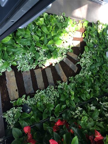 Grădină verticală cu plante naturale – Vilă rezidențială, foto 5 din 9